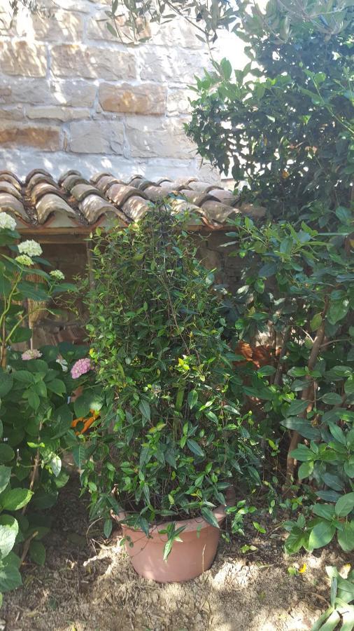 Vila Istrian Stone House Sečovlje Exteriér fotografie