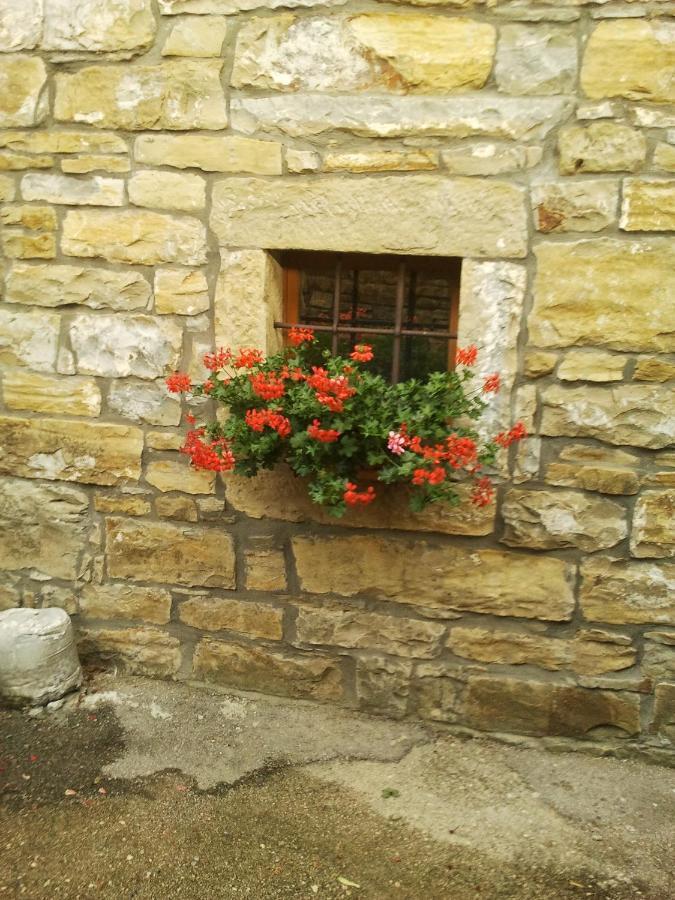 Vila Istrian Stone House Sečovlje Exteriér fotografie