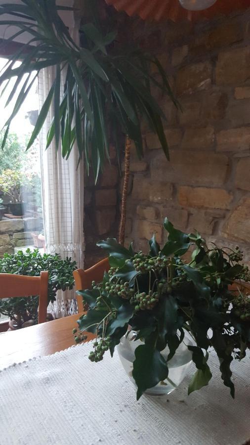 Vila Istrian Stone House Sečovlje Exteriér fotografie